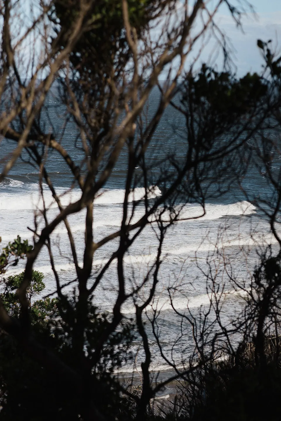 Ocean surf seen through the coastal trees above Whites Beach. At Whites Beach, Broken Head, near Byron Bay, for an Elopement Collective elopement. Photograph by Jason Lucas.