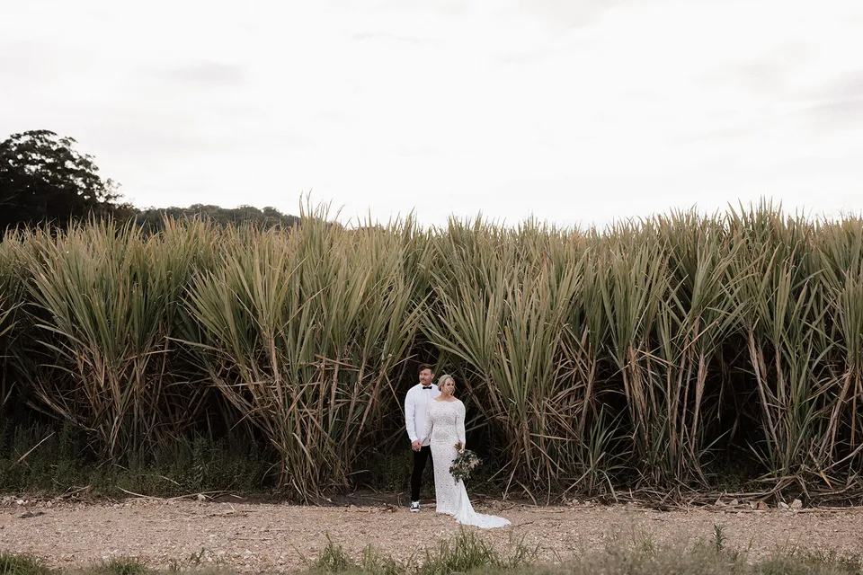 Matt and Laura standing close together beneath towering cane plants, in the Tweed Valley, NSW, for an Elopement Collective elopement. Photo by Bulb Creative.