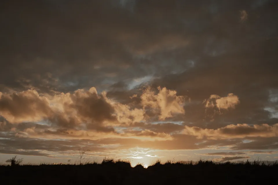 Golden sunset light breaking through layered clouds above the dark tree line, in the Tweed Valley, NSW, for an Elopement Collective elopement. Photo by Bulb Creative.