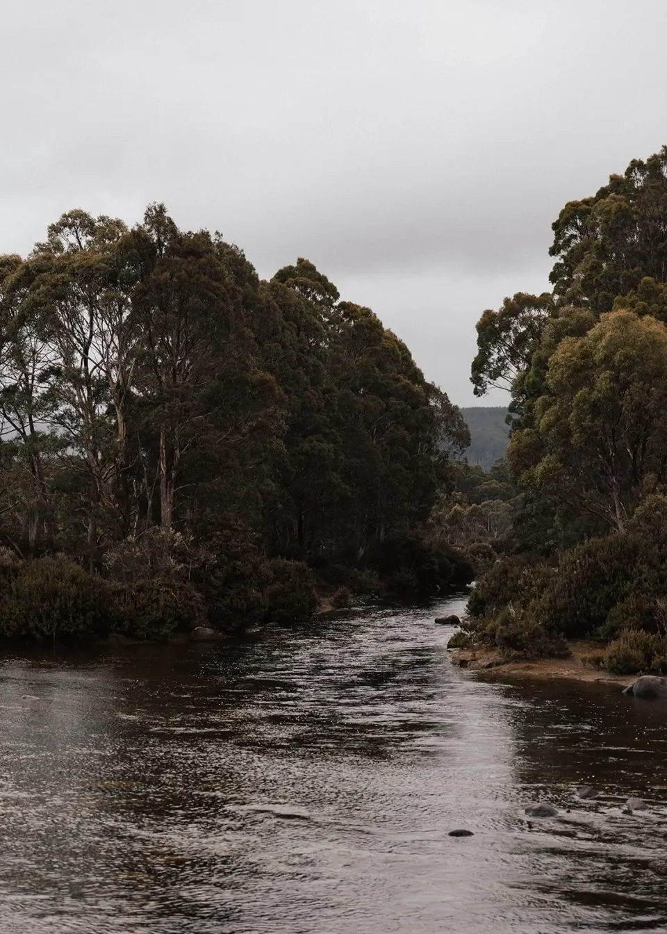 Pumphouse Point for Sarah and Jono's Tasmanian Elopement — photograph 52