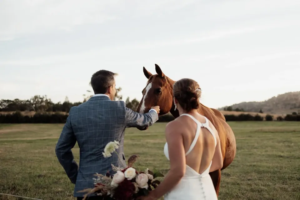 A couple greet a chestnut horse in an open paddock.