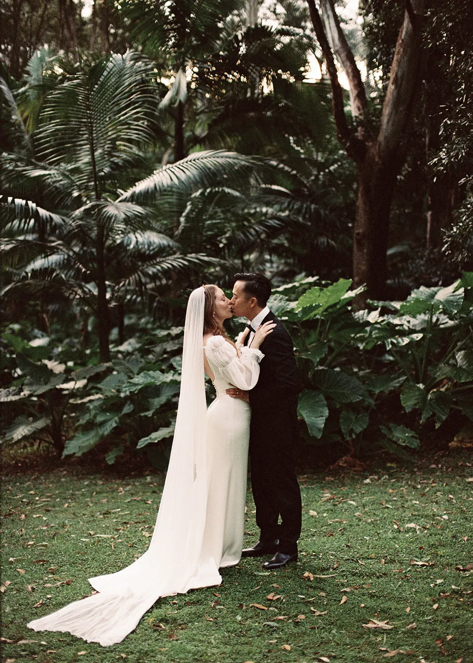 On 35mm film: Elyse and Jonathan kissing beside the ferns, her veil trailing onto the grass. At Fig Tree Villa in Ewingsdale, Byron Bay, for an Elopement Collective elopement. Photograph by Bulb Creative.
