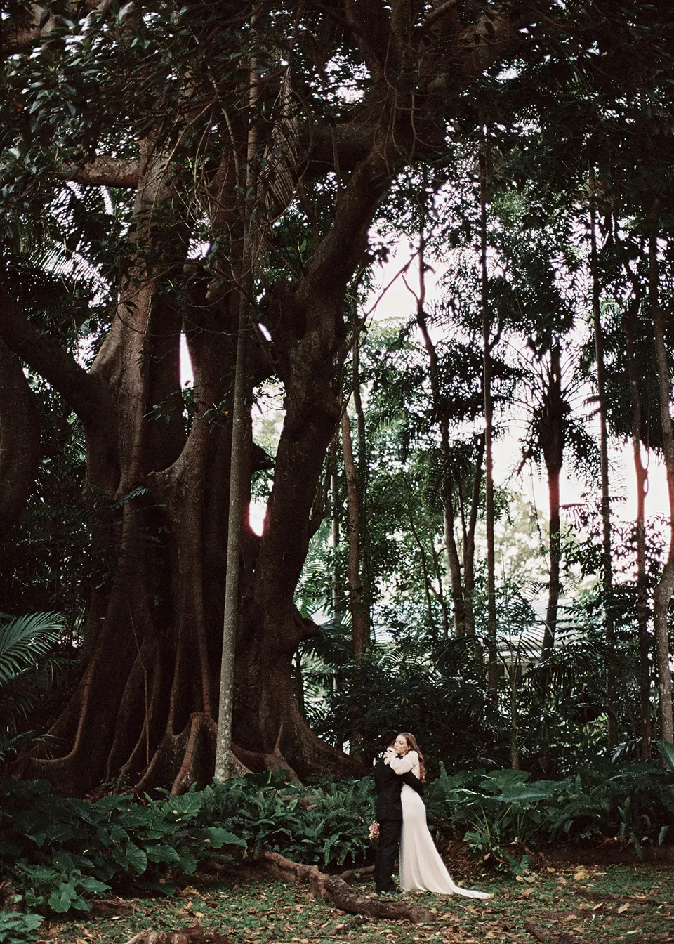 On 35mm film: The couple standing close together below the branches of a towering tree. At Fig Tree Villa in Ewingsdale, Byron Bay, for an Elopement Collective elopement. Photograph by Bulb Creative.