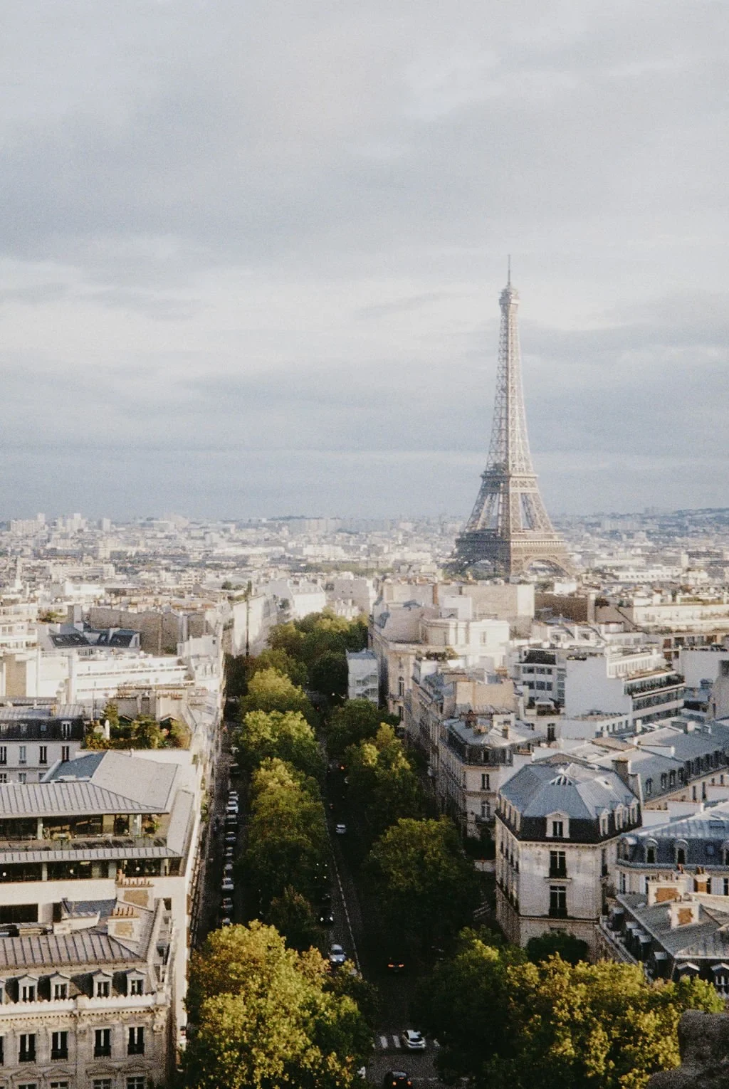 Paris cityscape with Eiffel Tower and rooftops