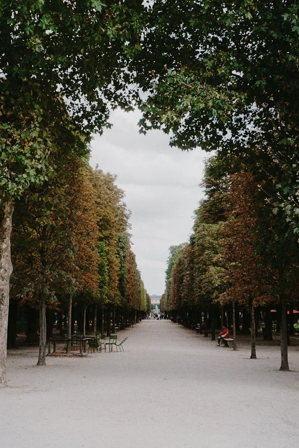 Tree-lined path in a park with benches, chairs, and a person sitting, under a cloudy sky.