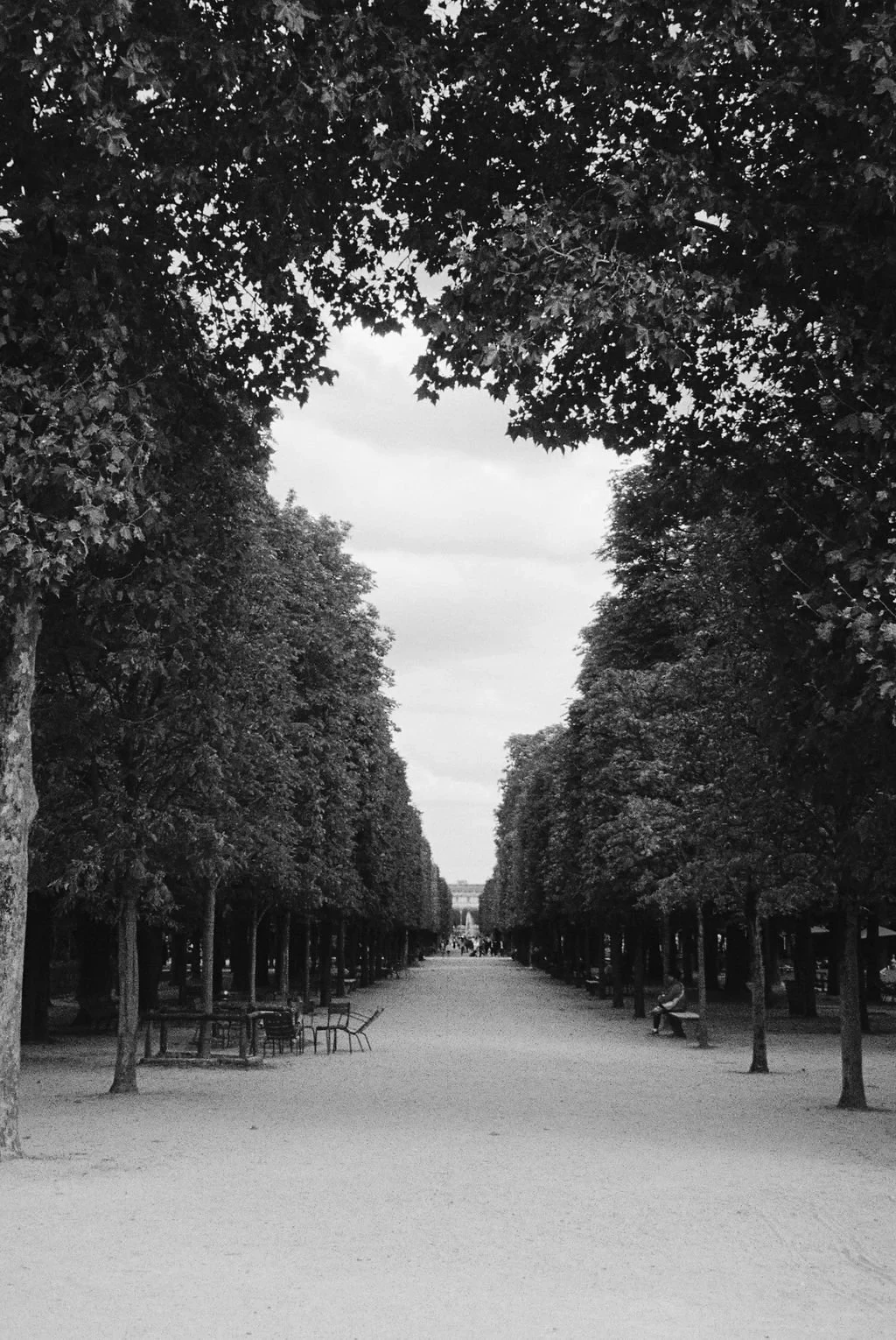 Black and white photograph of a tree-lined pathway with benches and empty chairs, leading towards a distant monument or structure under a cloudy sky.