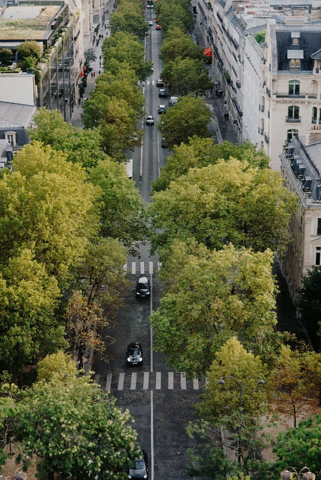 A tree-lined street viewed from above, with cars and pedestrians on the road and sidewalks, surrounded by buildings.